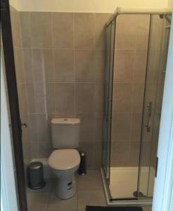 ein Bad mit einem WC und einer Glasdusche in der Unterkunft Roy's House in Dublin