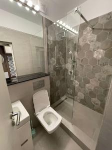 uma casa de banho com um WC e um chuveiro em Apartament de lux Pitesti centru em Piteşti