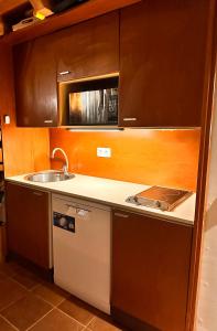 a small kitchen with a sink and a counter top at Exclusiva Cabaña en Vall D'Incles - Pistas de Ski & Vistas al Valle - Parking Incluido in Canillo