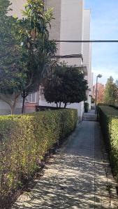 a sidewalk in front of a building with bushes at El Colmenar Habitaciones in Madrid