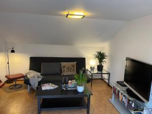 sala de estar con sofá negro y TV en Apartment near Park, en Hamburgo