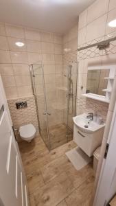 een badkamer met een douche, een toilet en een wastafel bij Olszynowy Gaj V in Krakau