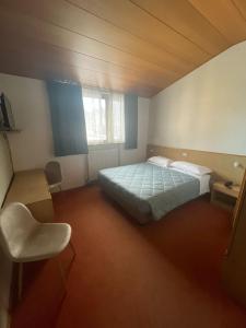 um quarto com uma cama e uma cadeira em Hotel Tarvis em Tarvisio