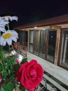 einen Balkon mit einer roten Rose und einigen Blumen in der Unterkunft Belvedere in Ambrolauri
