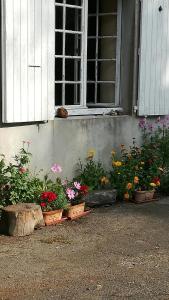 um grupo de flores sentadas em frente a uma janela em la chambre du moulin de la bleure em Moncoutant