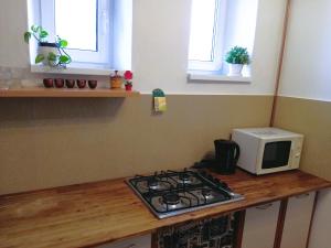 una cucina con piano cottura e forno a microonde su un bancone di Apartment Beatris a Svit