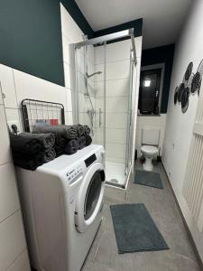 uma máquina de lavar roupa na casa de banho com um chuveiro em 3 Zimmer Apartment mitten in Altstadt - Koblenz em Koblenz