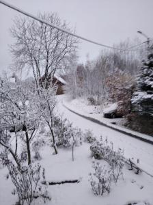 una calle cubierta de nieve con árboles y una carretera en Róże i Jabłonie Agroturystyka, en Gryfów Śląski