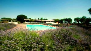 Bazén v ubytování Apulia Victor Country Hotel nebo v jeho okolí