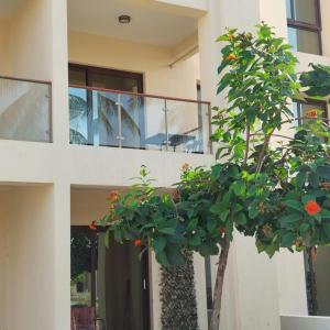 Photo de la galerie de l'établissement Hawana salalah luxury studio, à Wādī Khasbar