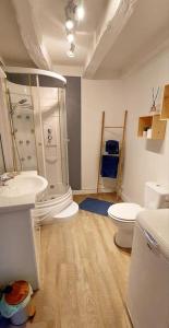 e bagno con doccia, servizi igienici e lavandino. di Maisonnette a La Croix-en-Touraine