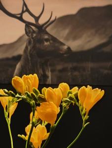 una pintura de un ciervo en el fondo con flores amarillas en Chalet Mésange, en Érezée