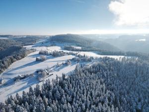 an aerial view of a snow covered hill with trees at Ferienwohnung Im Grünen in Schramberg