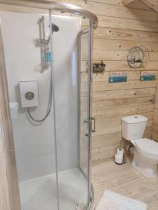 y baño con ducha y aseo. en Luxury log cabin with wood fired hot tub en Moville
