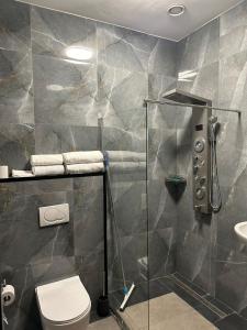 y baño con ducha, aseo y lavamanos. en B&B Santorini, en Maasbree