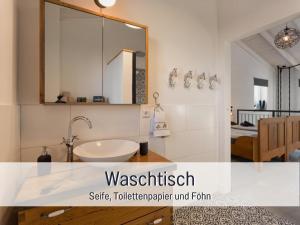 SteinbergにあるRamosHansenHof Fewo Hofglück 4Pers mit Hundの洗面台と鏡のあるバスルーム
