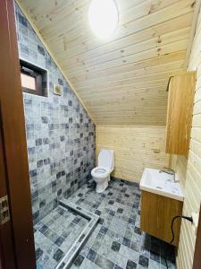 een badkamer met toilet en wastafel bij Cottage Am Museum in Mestia