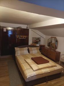 1 dormitorio con 1 cama grande y espejo en GM - Studio Apartment, en Trebinje