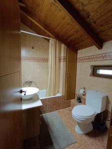 uma casa de banho com um WC, um lavatório e uma banheira em Σύγχρονη αγροικία em Lepanto