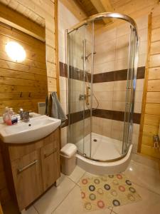 W łazience znajduje się prysznic, umywalka i toaleta. w obiekcie Nowica 71 Dom Jodłowy w mieście Nowica