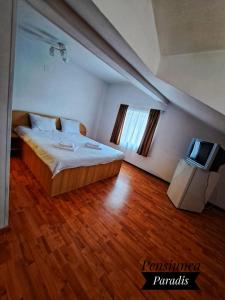 a bedroom with a bed and a television in it at Pensiunea Paradis in Buşteni