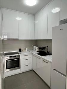 Kuchyň nebo kuchyňský kout v ubytování Wolf Gray apartman Sarajevo