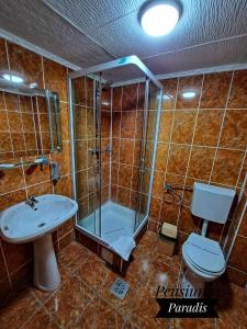 ein Bad mit einer Dusche, einem WC und einem Waschbecken in der Unterkunft Pensiunea Paradis in Buşteni