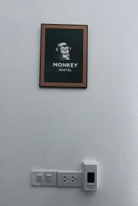 Fotografie z fotogalerie ubytování Monkey Hostel v destinaci pláž