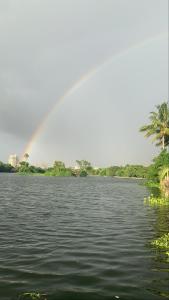 a rainbow over a body of water with trees at A Cosy (Greek Style) Den in Kolkata