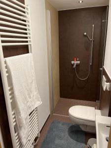 a bathroom with a shower and a white toilet at Central Hideaway in Maria Alm am Steinernen Meer