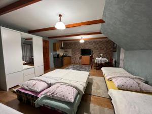 a large room with two beds and a kitchen at Pokoje u Pawloka - BLISKO TERMY CHOCHOŁOWSKIE in Ciche