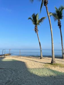 dos palmeras en una playa con el océano en Habitacion Playa Linda 102, en Coveñas