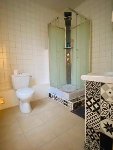 ein Bad mit einem WC, einer Dusche und einem Waschbecken in der Unterkunft Nancy Gare: Appartement de 45 m2 in Nancy