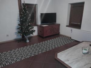Sala de estar con árbol de Navidad y TV en Domček KaMi en Kráľová Lehota