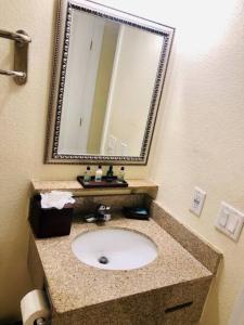uma casa de banho com um lavatório e um espelho em Peaceful Paradise em Tampa