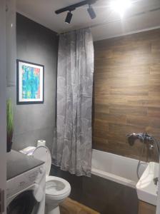 a bathroom with a toilet and a shower at Riverside LUX Apartment in Pirot