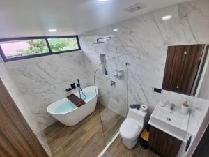 ein Bad mit einem Waschbecken, einem WC und einer Dusche in der Unterkunft Villa El Bosque Dorado in Fortuna