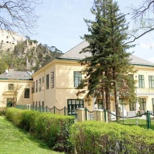 une grande maison avec un arbre en face dans l'établissement Wienerwald Residenz, à Baden