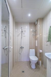 uma casa de banho com um chuveiro, um WC e um lavatório. em Cozy & Delightful Apart & AUBG & Free Garage Parking em Blagoevgrad