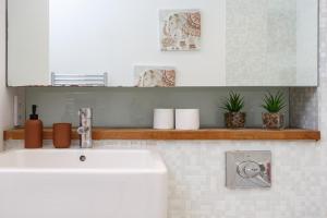 a bathroom with a sink and some plants on a shelf at City-Centric Living Cozy 1-Bedroom Apartment in Bradford