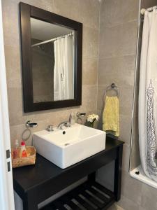 W łazience znajduje się biała umywalka i lustro. w obiekcie Confortable departamento en Castelar - Zona Céntrica. w mieście Castelar