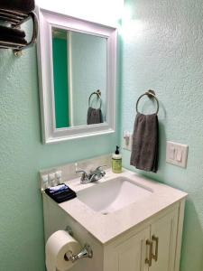 een badkamer met een wastafel en een spiegel bij The Great Escape - Panoramic Sunset views in Tampa