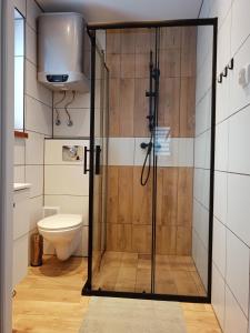 a bathroom with a shower and a toilet at Domek u Gołąbków Bieszczady in Lesko