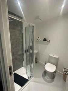 a white bathroom with a toilet and a shower at Large Apartment in City Centre, Leicester in Leicester
