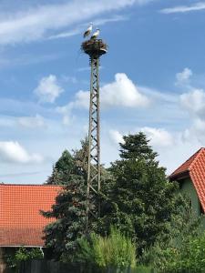 dos pájaros sentados en la cima de una torre en Spreewald-Ferienwohnung Reschke/Jahn en Radensdorf