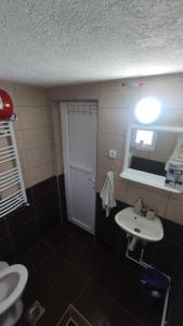 a bathroom with a sink and a toilet and a mirror at Vikendica Vrtača- Odvraćenica in Novi Pazar