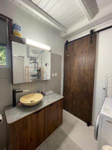 a bathroom with a sink and a wooden door at Studio Colline Nettle in Marigot