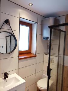 a bathroom with a toilet and a sink and a mirror at Domek u Gołąbków Bieszczady in Lesko