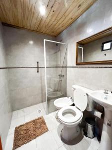 a bathroom with a toilet and a shower and a sink at Finca German in Vinchina
