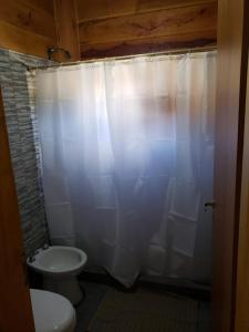 a bathroom with a toilet and a white shower curtain at Cabañas Puesta del Sol in Villa Yacanto +4 photos